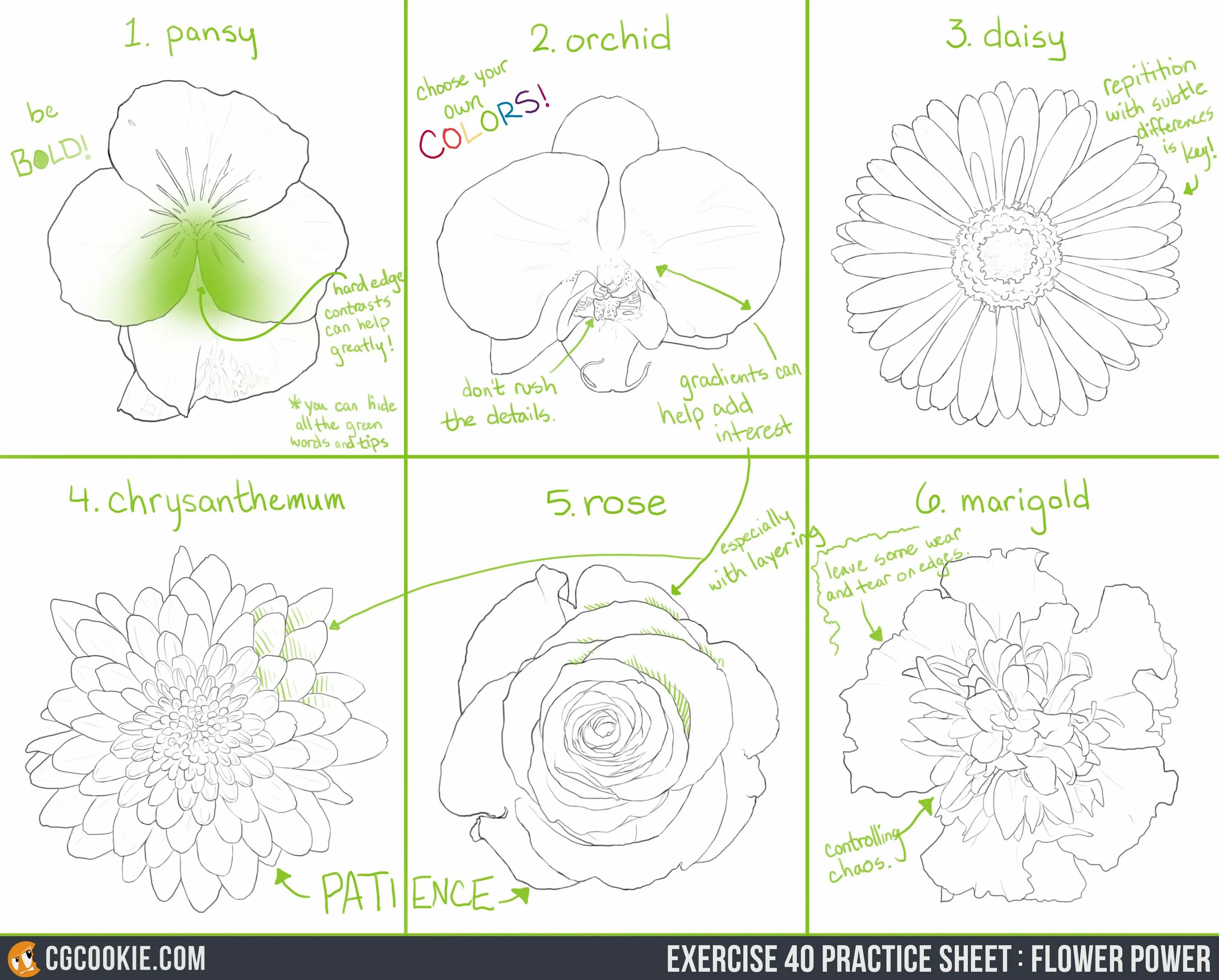 Flower exercise. Цветы референс. Flowers Worksheets. How to draw Sheet. Elements drawing practical Sheet.