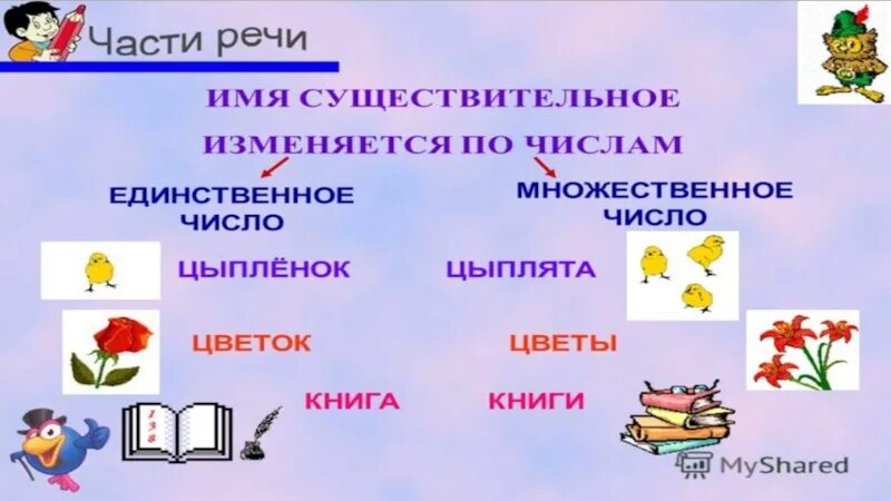 Карточки 2 класс множественное число существительных. Множественное число имен существительных 2 класс. Число имён существительных 3 класс. Единственное и множественное число имен существительных 2 класс. Единственное и множественное число существительных 5 класс