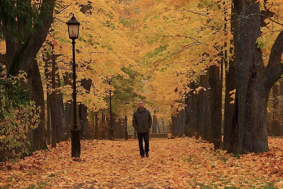 я шел по аллее усыпанной еловыми иглами.