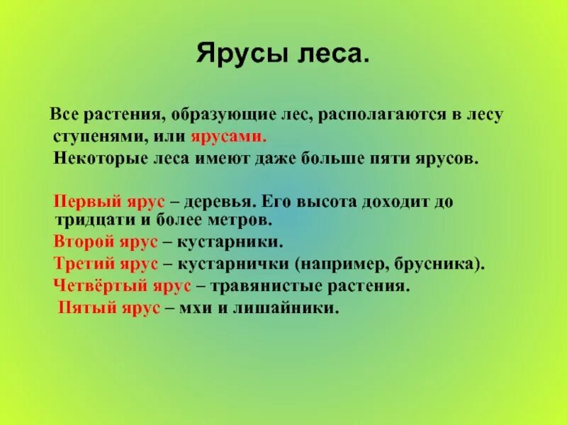 Ярусы леса. Ярусы леса растения. Ярусы растений в лесу 4 класс. В лесу растения образуют ярусы. Растения 4 яруса леса