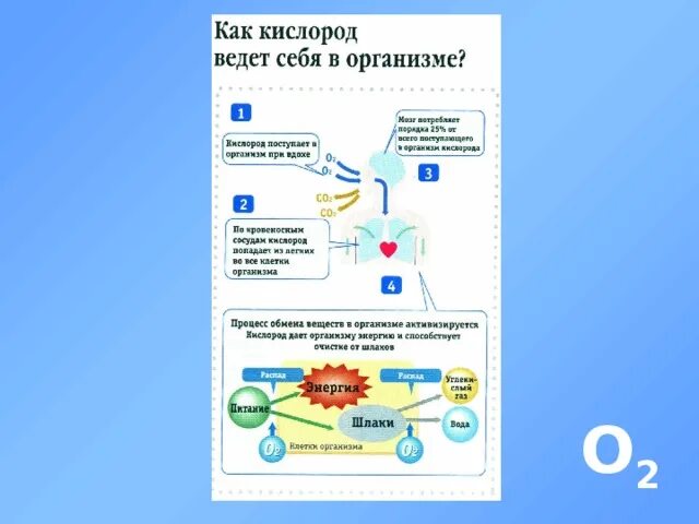 Факты о кислороде химия. Кислород интересные факты химия. Занимательные факты про кислород. Интересные факты о кислороде по химии. Кислород химия презентация