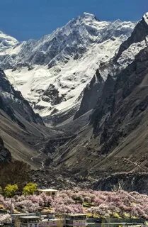 В горах афгани