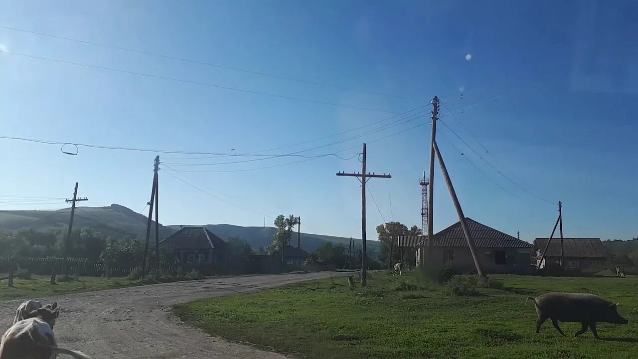 Погода сибирячихе алтайский край. Солонешенское Сибирячиха. Село Сибирячиха Солонешенский район Алтайский край. Деревня Сибирячиха Солонешенский район деревня. Сибирячиха пещера Окладникова.