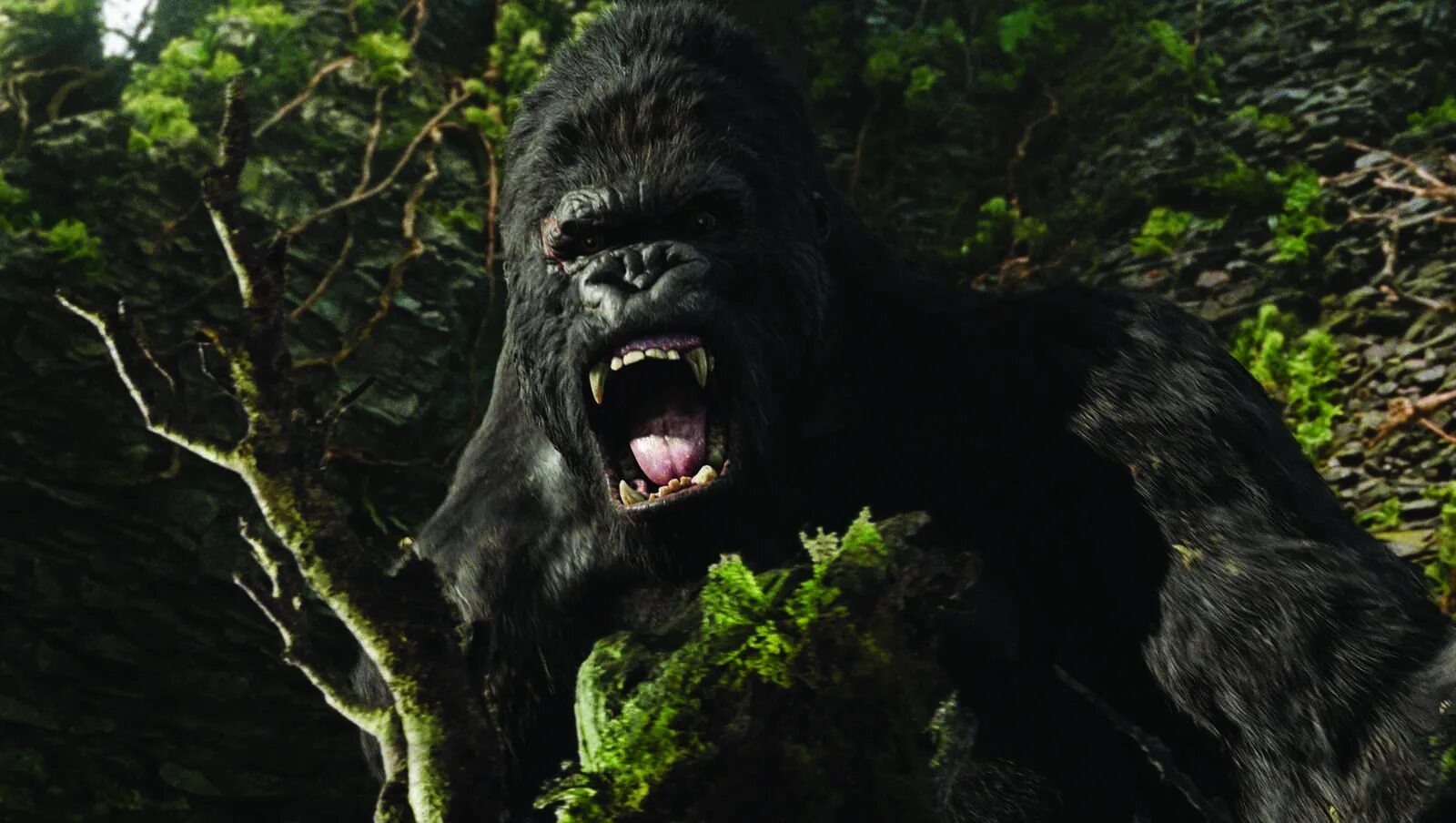 кинг конг 2005. кинг конг картинки. кинг конг картинки. кинг конг картинки. кинг конг картинки.