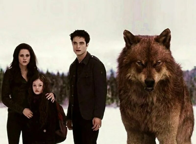 джейкоб волк и ренесми. душа волка. сумерки сага ренесми и волк. сумерки сага джейкоб волк. доклад про волка.