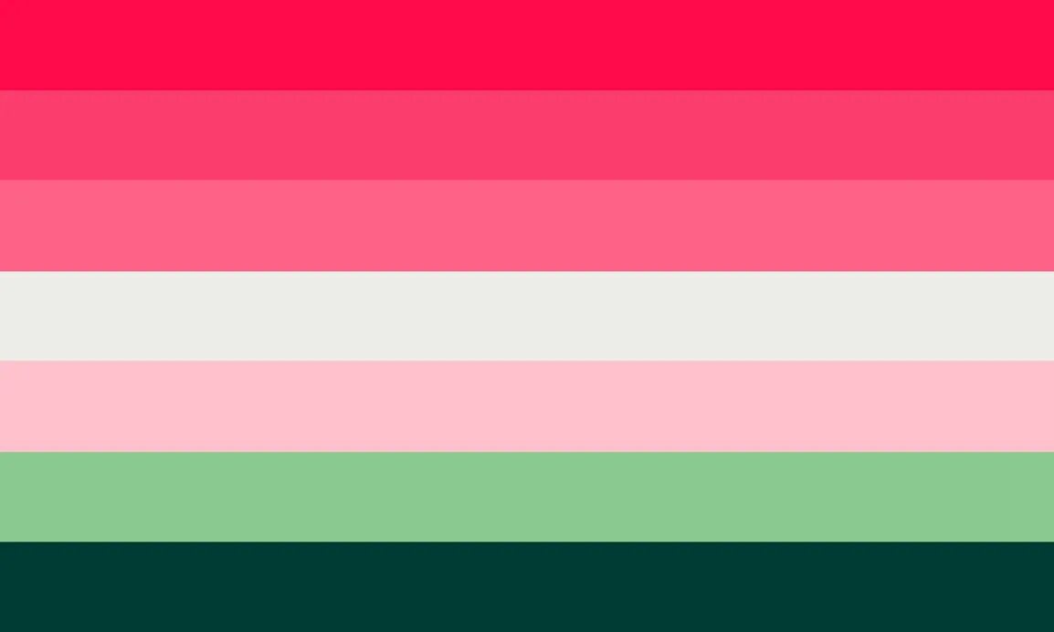 Флаг лесбиянство.