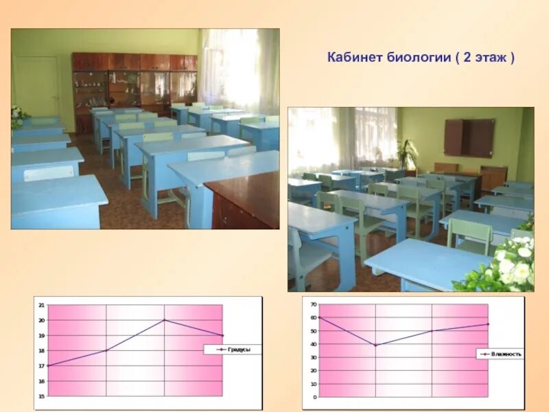 Кабинет биологии. Школьный кабинет биологии. Кабинет биологии презентация. Идеальный кабинет биологии. 34 каб