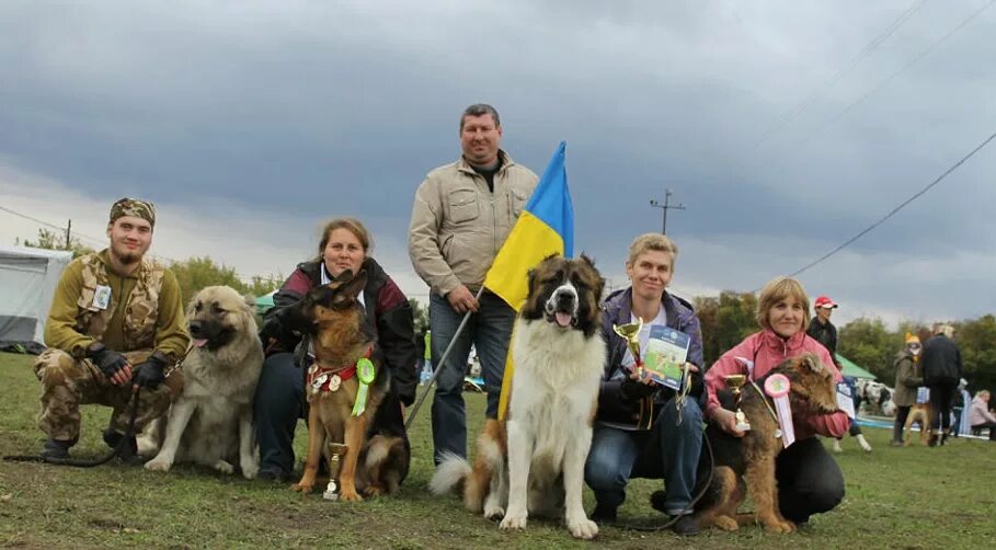 Российский фан клуб собак. Кинологический клуб. Клуб для собак. Клуб собак москва. Пес в клубе.