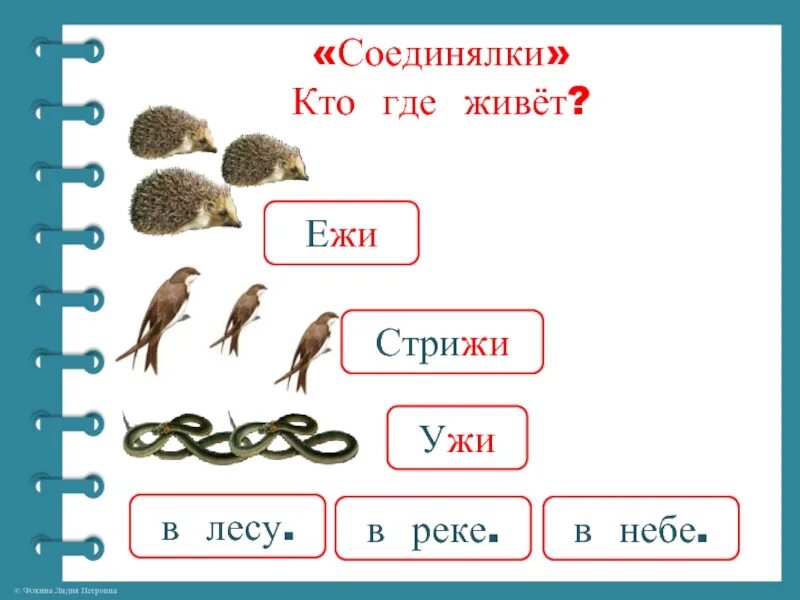 Кроссворд соединялки слов. Составить предложение кто где живет ужи где живут. Кто где живет Ежи мыши ужи Ерши. Где живут Ежи и ужи. Какое действие превратить ежа в ужа Информатика.