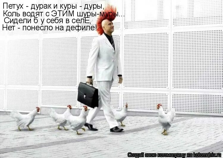 Куры не дуры. Курам на смех. Петух молодец. Курочка и дурочка. Куры не дуры.
