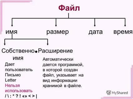 Ссылка размер дата
