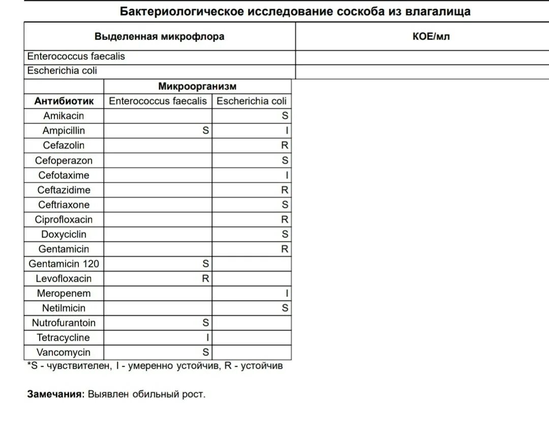 Энтерококк фекалис лечение. Enterococcus faecalis 10 6 у женщин в мазке. энтерококк фекальный в мазке у женщин норма. энтерококк faecalis в мазке у женщин enterococcus фекальный. enterococcus faecalis в посеве у женщин норма.