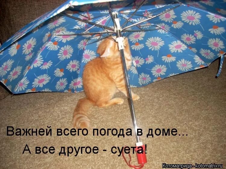 Главней всего погода в доме. Важный всего погода в доме. Погода дома. Важней всего погода в доме.