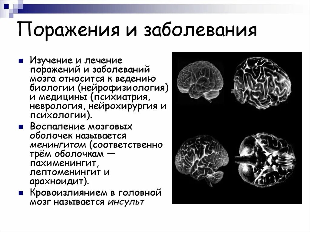 Функциональное поражение мозга. Поражение оболочек мозга. Нейрофизиология мозга.