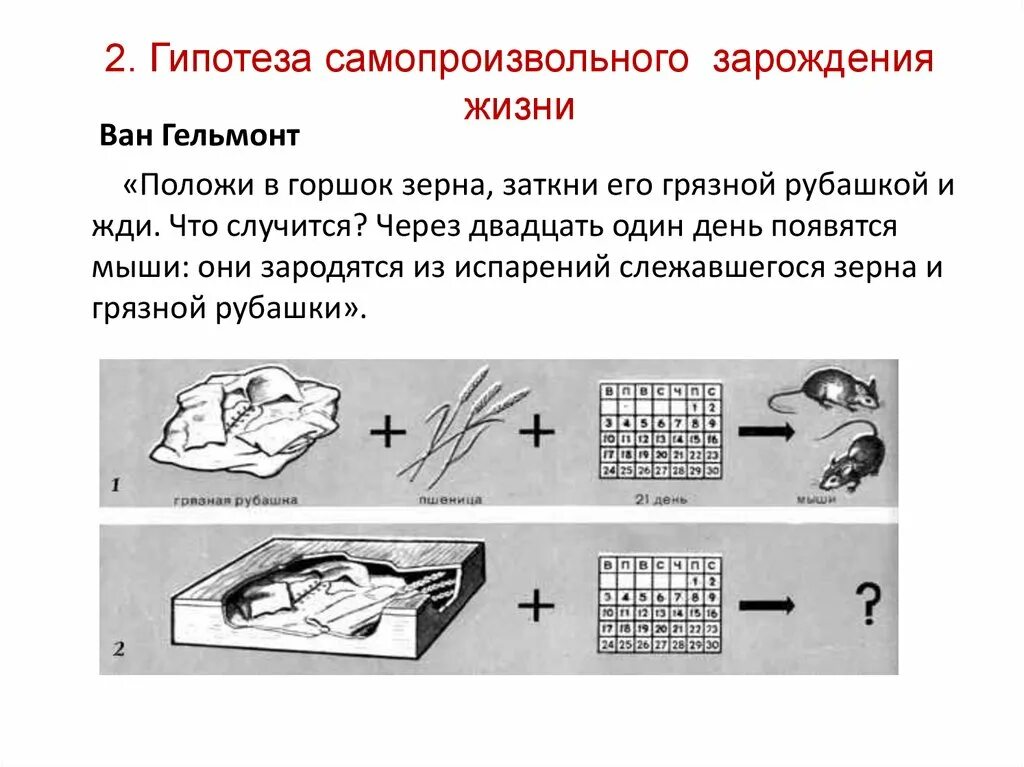 Почему гипотеза о самозарождении организмов продержалась