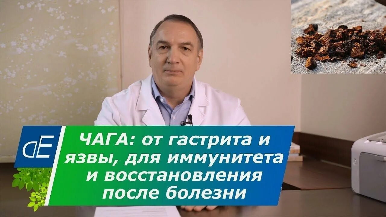 Доктор Евдокименко гастрит. Доктор Евдокименко ЖКТ. Доктор Евдокименко заболевание почек. Доктор Евдокименко колит. Евдокименко гастрит