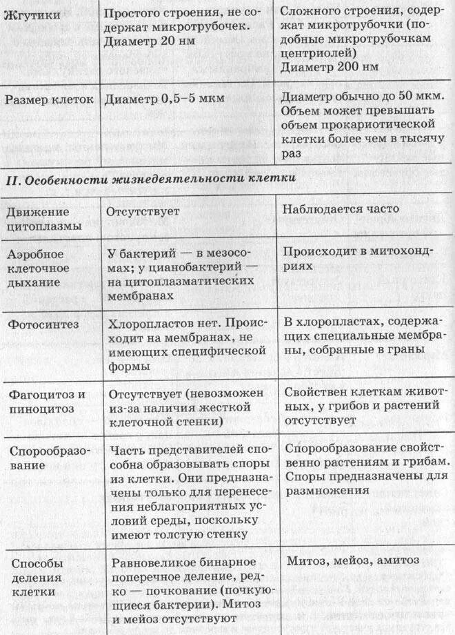 Строение и функции органов эукариотной клетки. Строение эукариотических клеток таблица. Строение клетки эукариот таблица строение и функции. Строение эукариотической клетки таблица строение. Таблицу органоиды эукариотической клетки