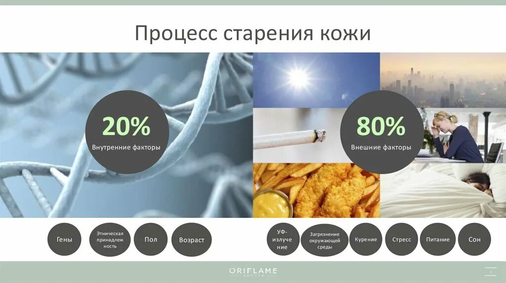 Процесс старения 5 букв. Процесс старения. Процесс старения кожи. Представление о возможности обратить вспять процесс старения..