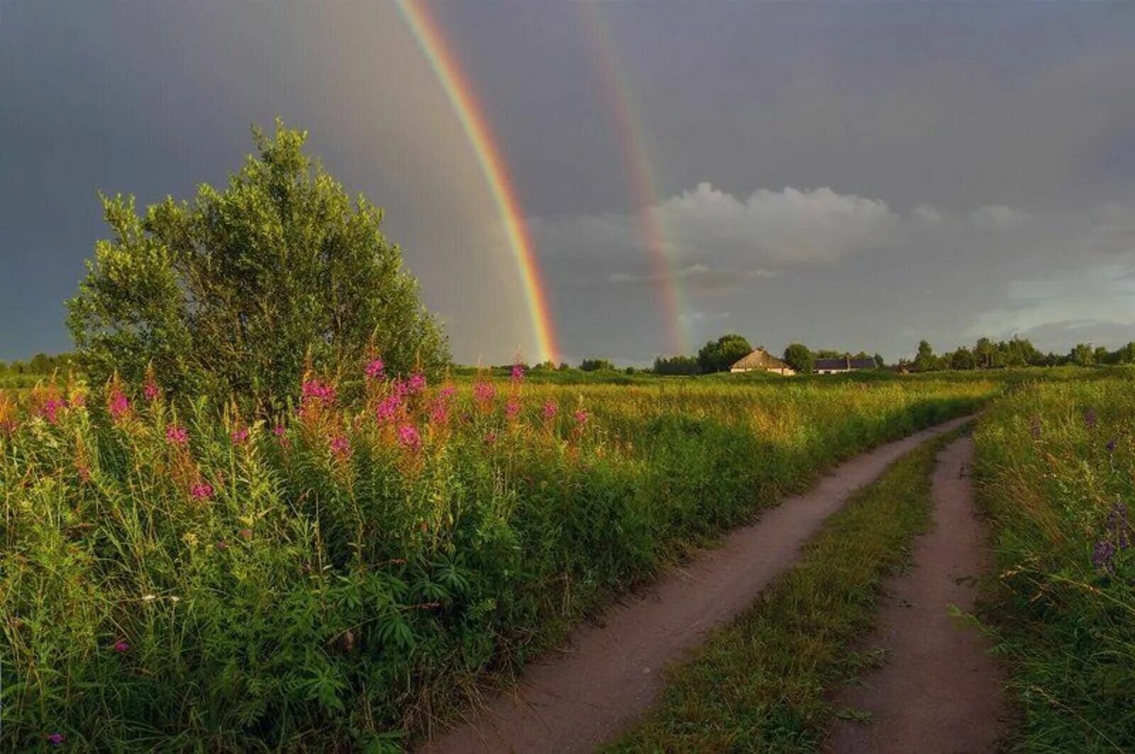 Свежо после грозы. Природа после дождя. Радуга после дождя. Пейзаж с радугой. Радуга в природе.