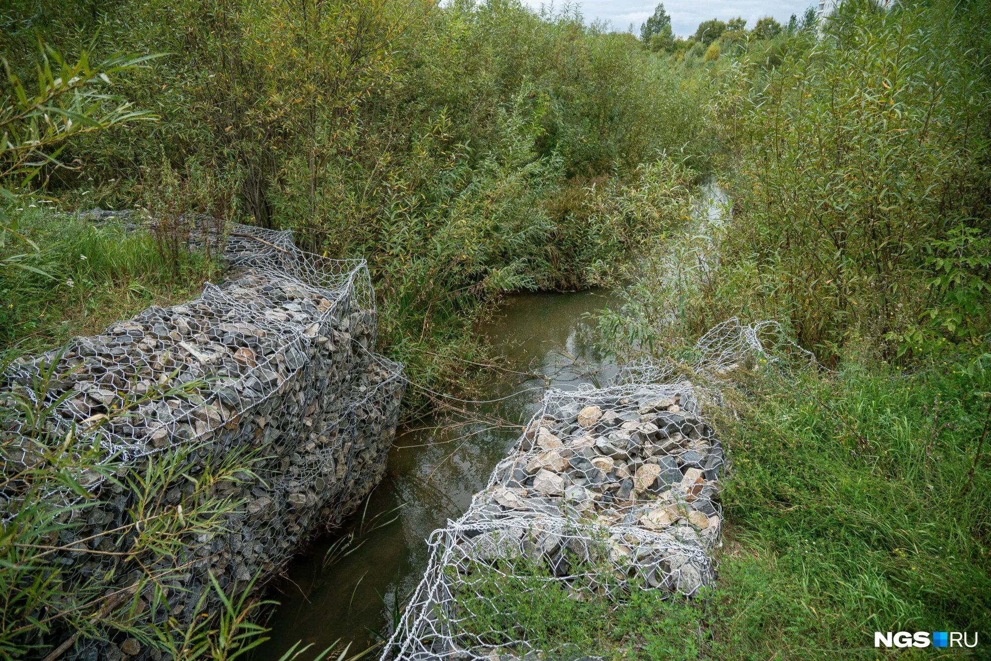 Микрорайон нижняя ельцовка. Река нижняя ельцовка новосибирск. Речка 2 я ельцовка новосибирск. Пруд нижняя ельцовка. Ельцовка г новосибирск.