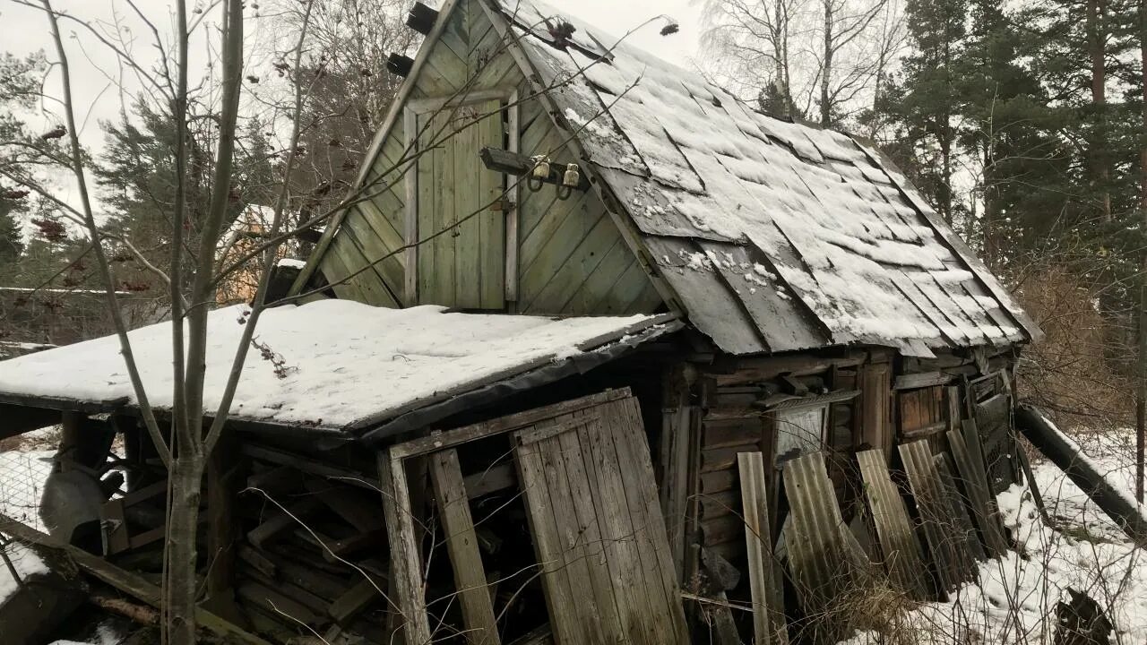 Старый деревянный сарай. Демонтаж старых деревянных домов. Демонтаж старого сарая. Разбор деревянного дома.