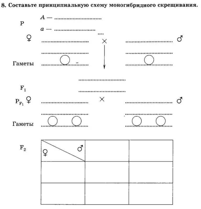 Составьте схему моногибридного скрещивания. Генетическая схема моногибридного скрещивания. Моногибридное скрещивание схема скрещивания. Составление простейших схем дигибридного скрещивания. Схема решения моногибридного скрещивания.