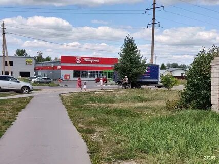 Пятерочка каштановая