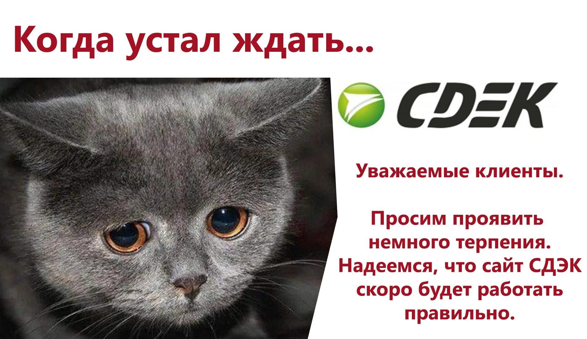 С ними мы уже работаем. С ними мы уже работаем