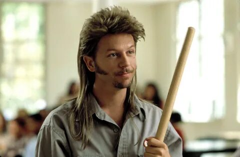 Joe dirt image