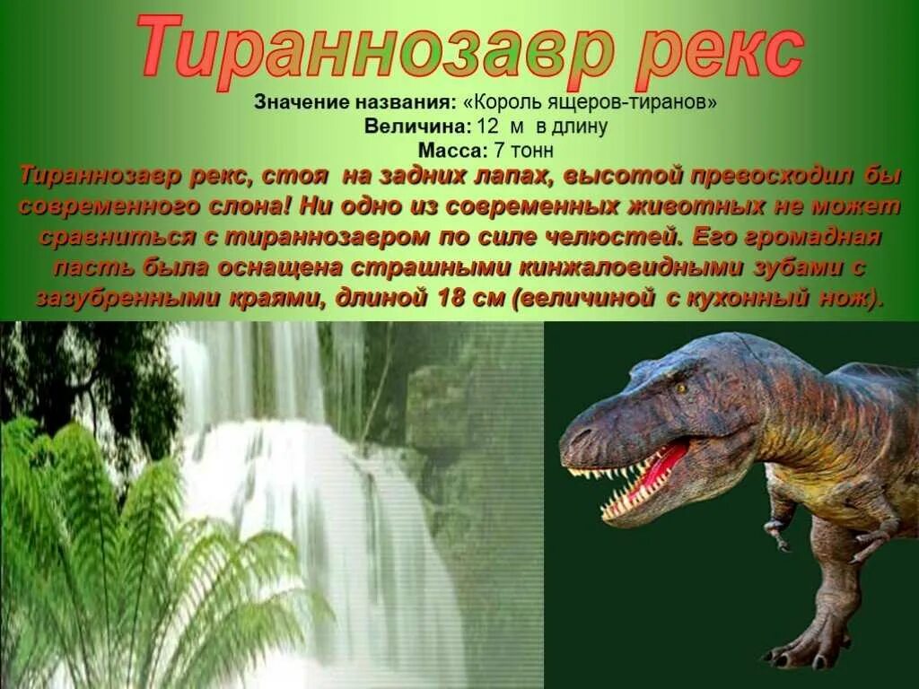 Сообщение о динозаврах 1. Тираннозавр рекс описание для детей 1. Мезозойская Эра Тираннозавр. Тираннозавр рекс информация для детей. Рассказ о динозавре Тираннозавр.