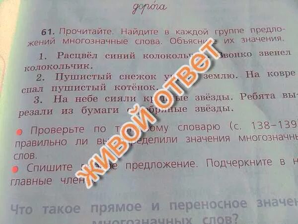 Прочитайте найдите приложения что они обозначают. Прочитайте найдите. найдите в каждой группе предложений многозначные слова. найти в каждой группе предложений многозначные слова расцвел. расцвел синий колокольчик грамматическая основа предложения.