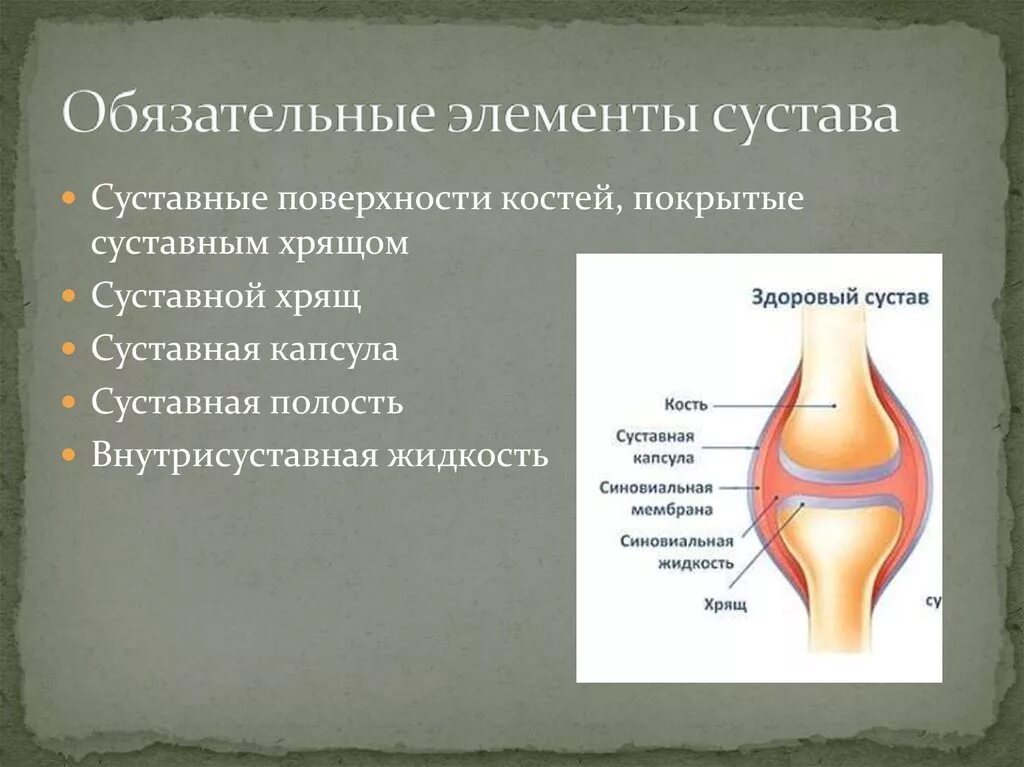 Какие структуры сустава. Обязательные элементы сустава. Основные элементы сустава. Обязательные компоненты сустава. Основные и вспомогательные элементы сустава.