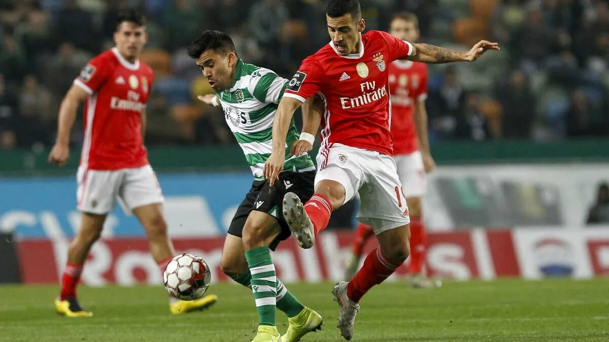 Паулиньо спортинг. Матеус нуньес футболист. Sporting tv portugal. Португалия 24 год евровилеоте. Кэйя и аякс.