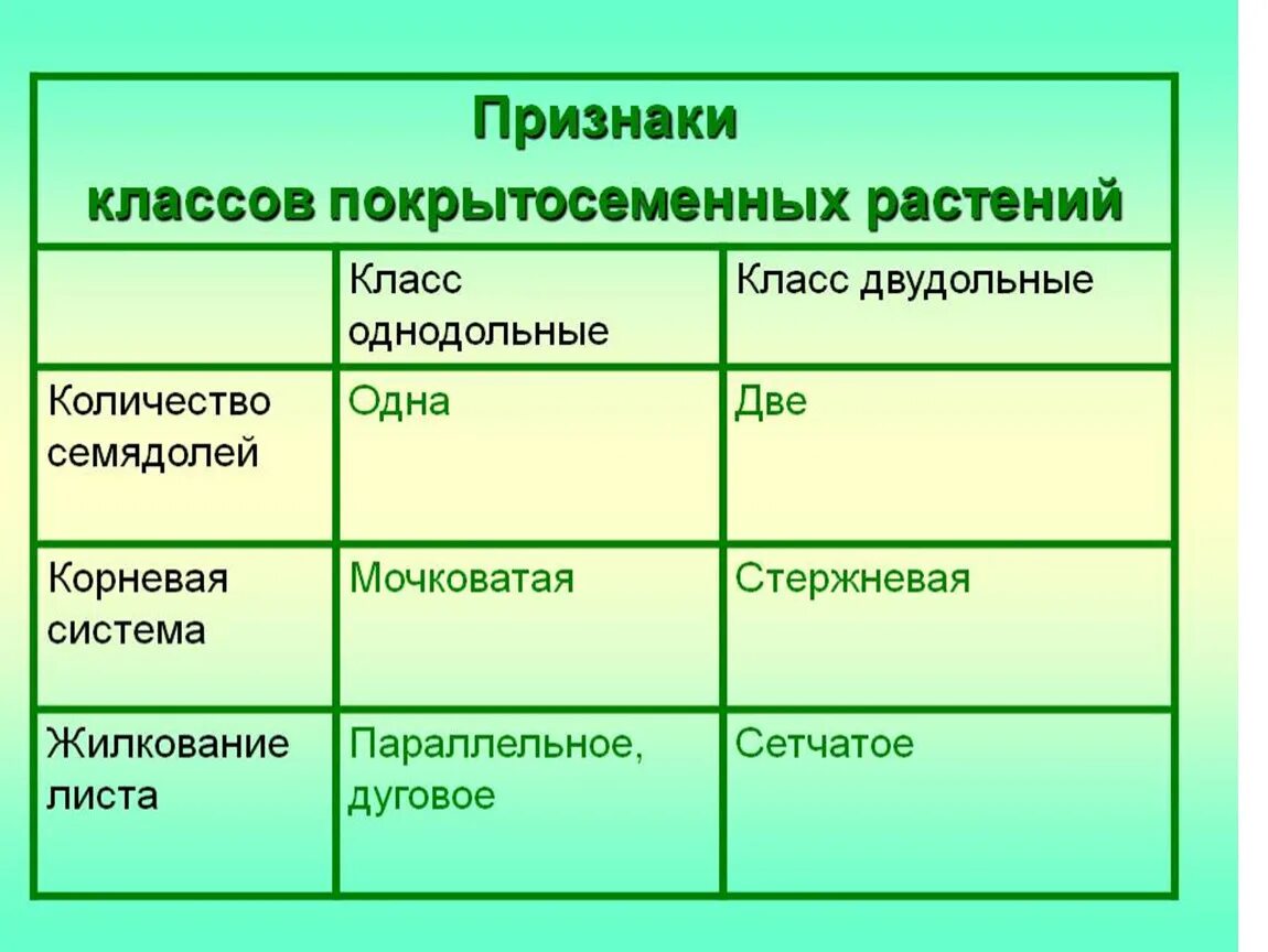 Три признака покрытосеменных. Таблица по классам покрытосеменных растений 7 класс биология. Систематика покрытосеменных растений 6 класс таблица. Таблица Покрытосеменные растения 7 класс биология. Строение покрытосеменных таблица.