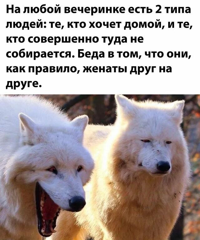 Существует два типа. Настроение бывает двух видов. есть два типа людей. на свете есть 2 типа людей. у меня настроение бывает двух видов.
