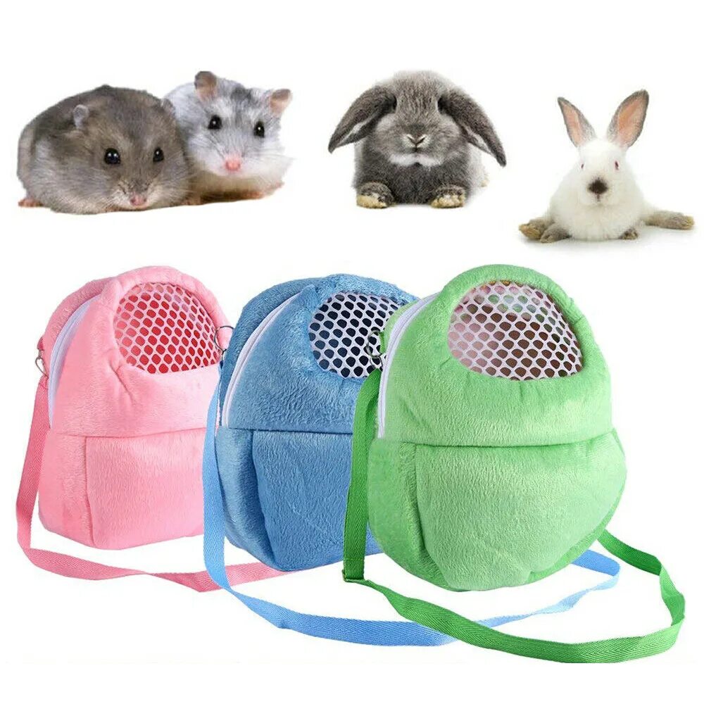 Переноска pet carrier размер 4. Переноска для шиншилл. Переноска для шиншилл. Пластмассовая переноска для шиншилл. Клетка переноска для шиншиллы.