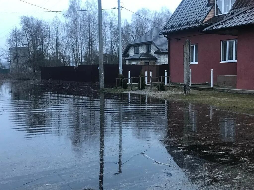 Паводковая ситуация в брянске сегодня. Паводок Брянск 2023. Радица Крыловка паводок. Брянск паводок. Паводок Брянск 2023 Радица Крыловка.