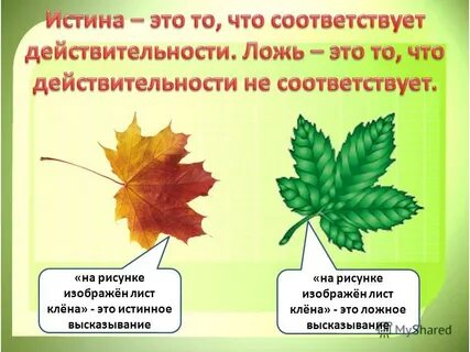 Лист клена сравнение