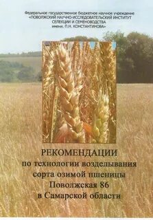 Технология возделывания яровой пшеницы