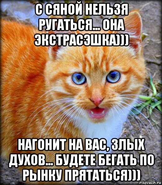 Написал рыжика. Рыжик Мем. Рыжик кот Мем. Рыжик кот из мемов. Ава с надписью Рыжик.