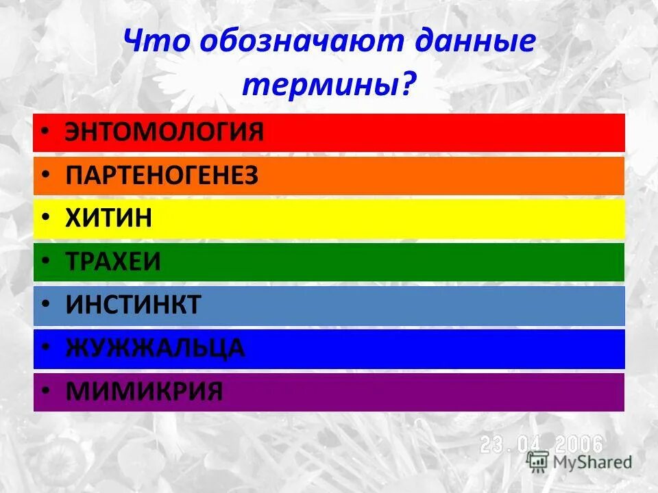 Цветастенькая что обозначает. Статическое положение. Что означает данные. Понятие кисонить. Термины обозначающие животных.