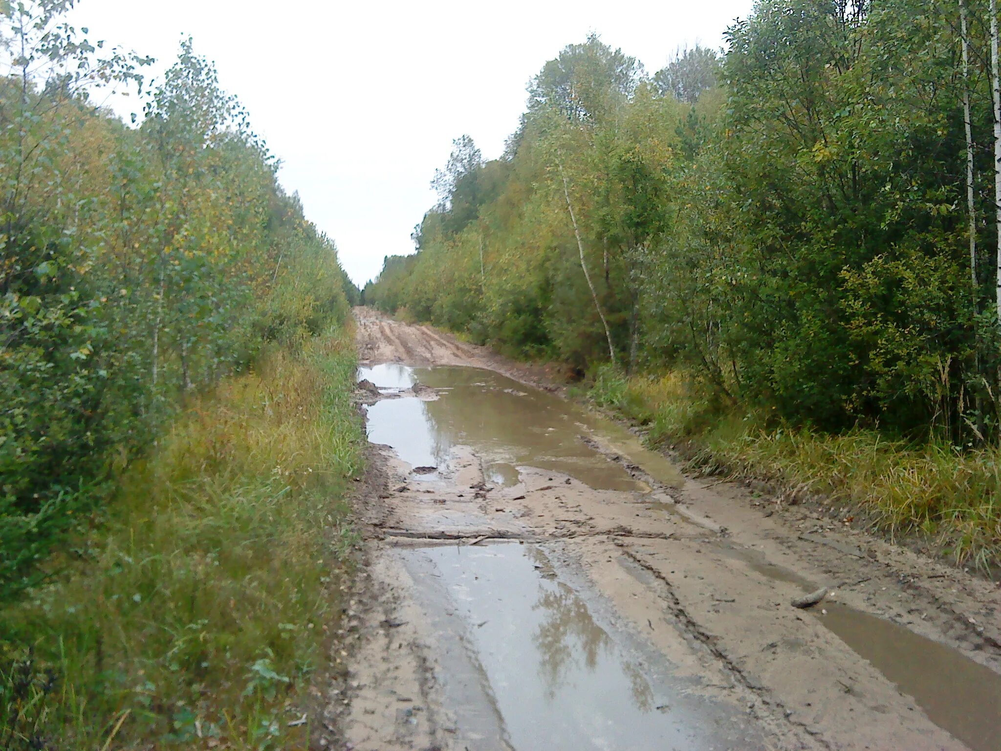 Уровень воды в реке угра. Исток реки Угра Смоленской области. Река Угра Исток реки. Дорога на Угру. Ордынский район река Каменка.