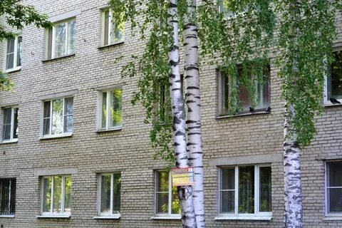 Ногинск недорого квартиру