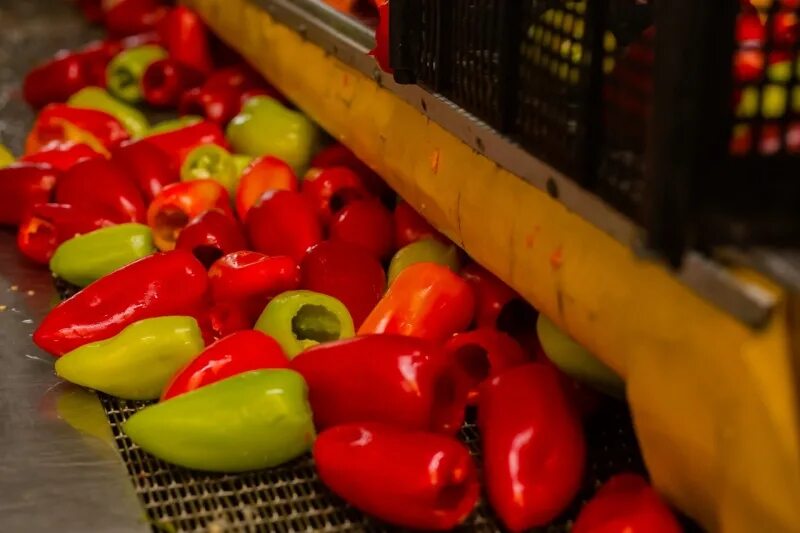 Ашан перец фаршированный. Перец фаршированный полуфабрикат. Перец для фаршировки заморозка. Готовый замороженный перец. Готовый замороженный перец.