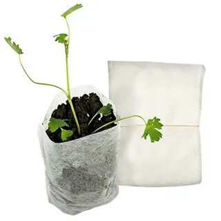 Bag plant