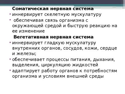 Что иннервирует соматическая нервная система