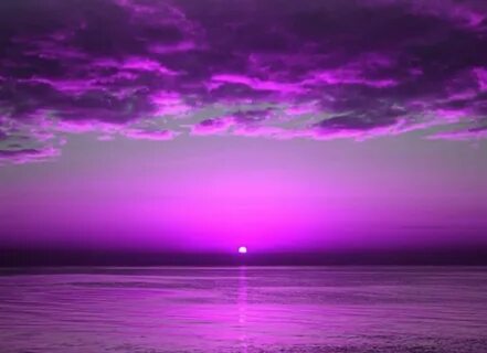 Фиолетовый закат 