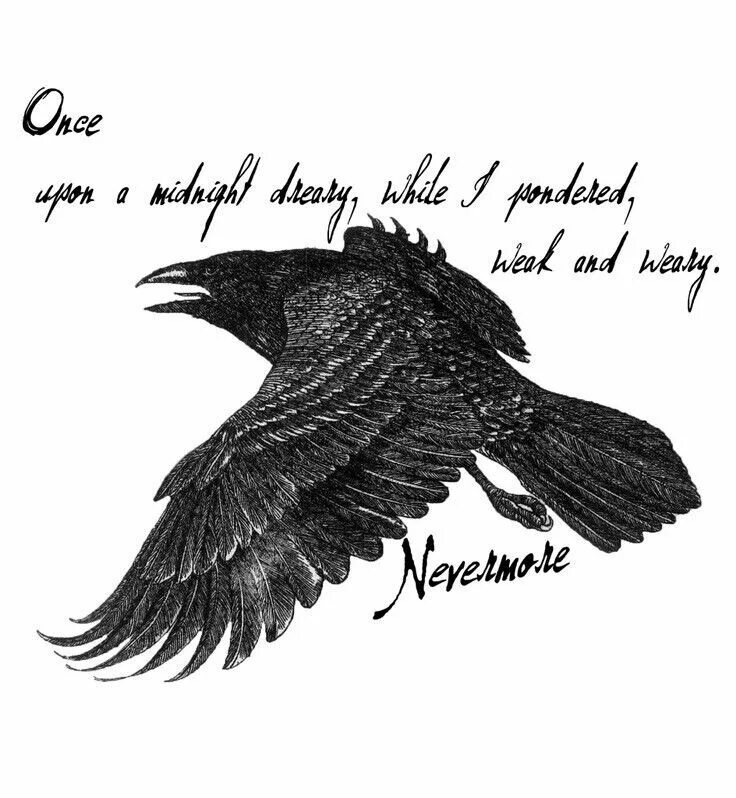 Raven poe. Raven Nevermore. Эдгара Аллана по ворон Tattoo.