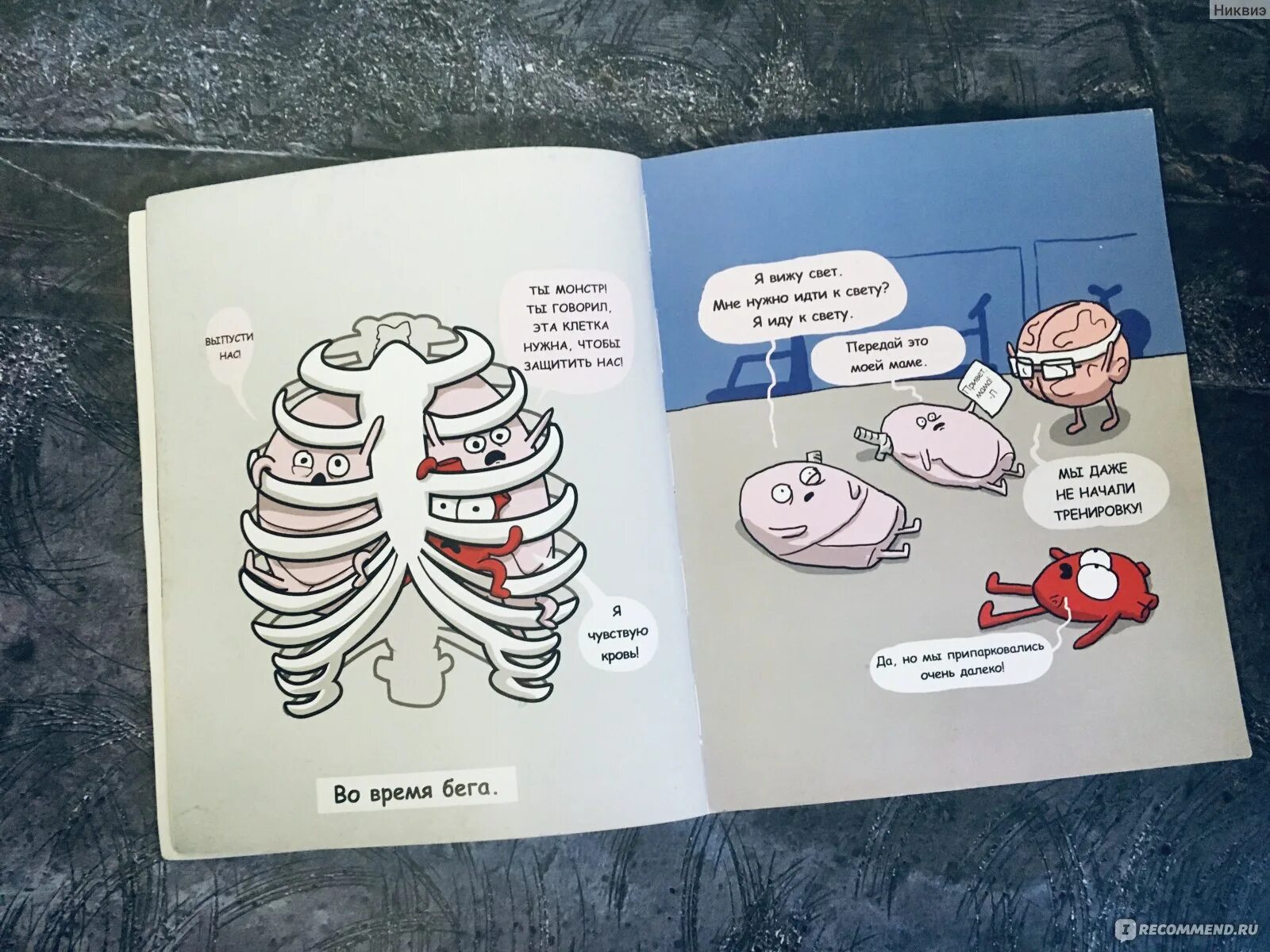 Книга мозги и кишечник. Комиксы про внутренние органы.