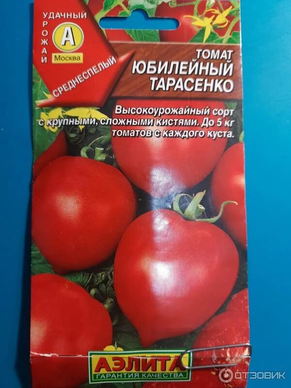 Томат гибрид Тарасенко Юбилейный. Сорт помидоров Юбилейный Тарасенко. Легенда тарасенко томат характеристика и описание сорта